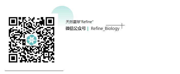 微信截图_20231229132246.png